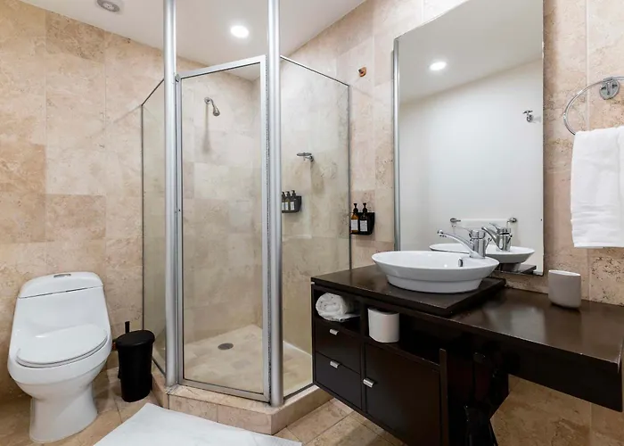 Capitalia W Gym Near Centro Santa Fe Mall Apartment *